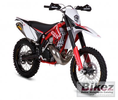 2011 GAS GAS EC 250 2T photo